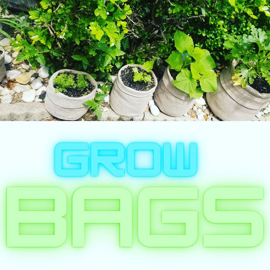 10 Grow Bags for $40